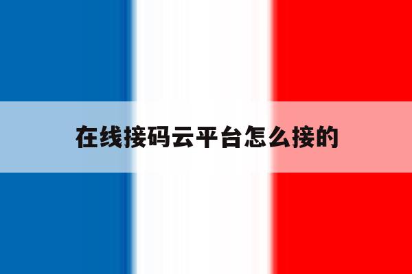 在线接码云平台怎么接的 在线接码云平台怎么接的