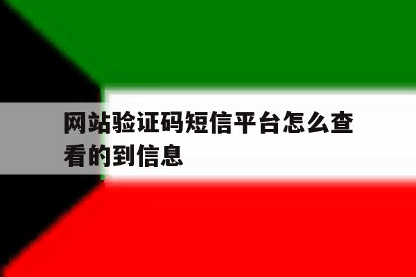 网站验证码短信平台怎么查看的到信息 网站验证码短信平台怎么查看的到信息