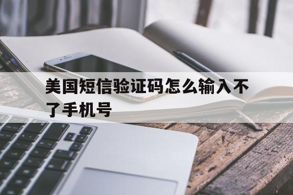 美国短信验证码怎么输入不了手机号 美国短信验证码怎么输入不了手机号